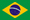 Português - Brasil